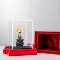 Cây Kim Tiền Mạ Vàng 24K – Biểu Tượng Tài Lộc 15 cay kim tien ma vang 24k 1
