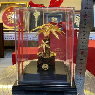 cây kim tiền mạ vàng 24k
