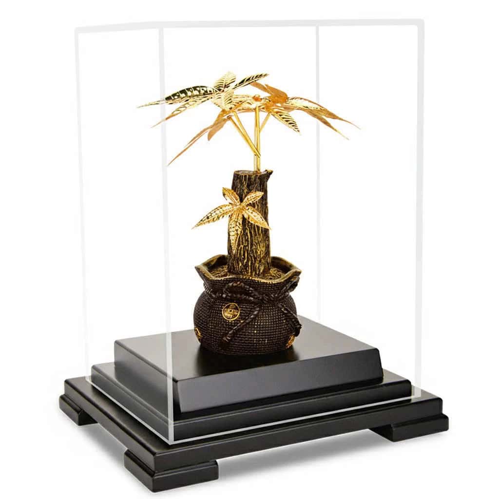 Cây Kim Tiền Mạ Vàng 24K – Biểu Tượng Tài Lộc 2 Cây Kim Tiền Mạ Vàng 24K – Biểu Tượng Tài Lộc - Ảnh 2